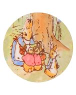 Peter Rabbit Outline Cake Mesh Stencil