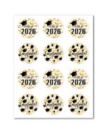 Icing Sheets Confetti Graduation Cookie