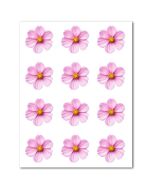 Icing Sheets Pink Cosmos