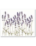 Icing Sheet Pressed Lavender