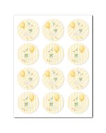 Icing Sheets Silly Goose Cookie/Cupcake