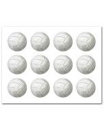 Icing Sheets Volleyball Cookie