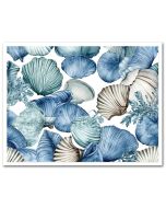 Icing Sheet Watercolor Seashells