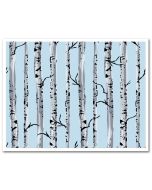 Icing Sheet Winter Birch Trees