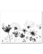 Icing Sheet Pressed Flowers Black & White