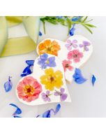 Icing Sheet Pressed Flowers