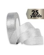 Ribbon Metallic Mesh Silver