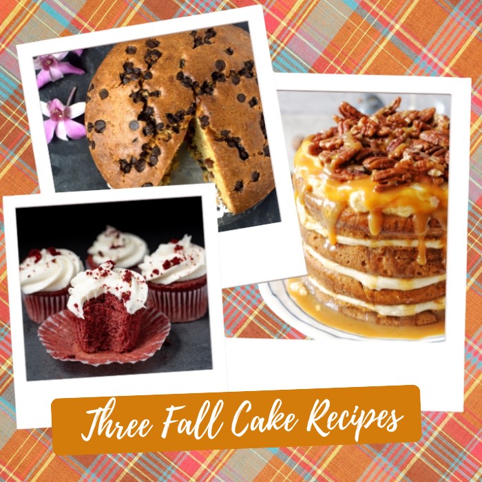 3 Fall Cakes