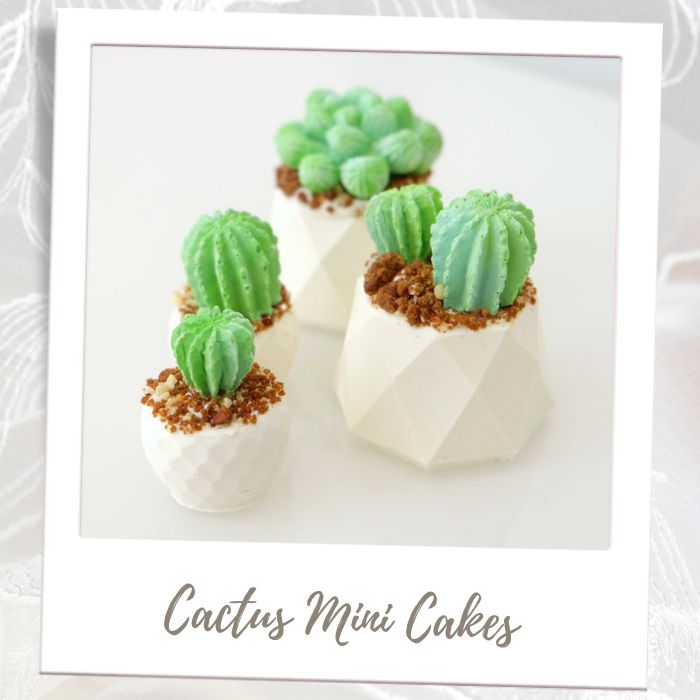 Cactus Mini Cakes Bridal Shower