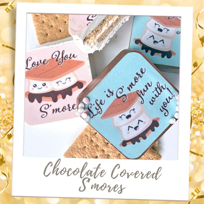 Chocolate Covered Valentine's S'mores Anniversary