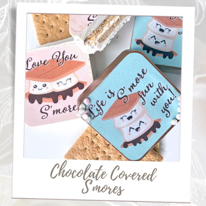 Chocolate Covered Valentine's S'mores Bridal Shower