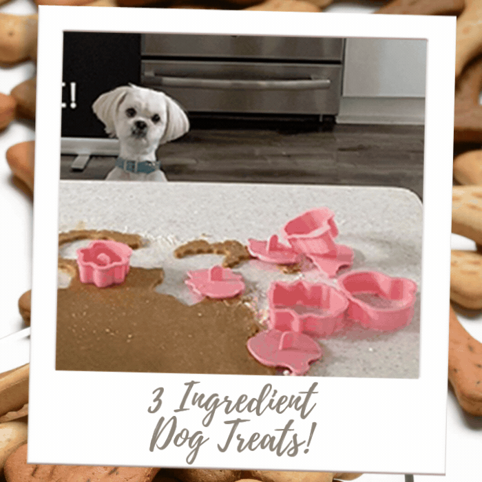 Shop By Treat Type - Doggie Treats - 3 Ingredient Dog Treats