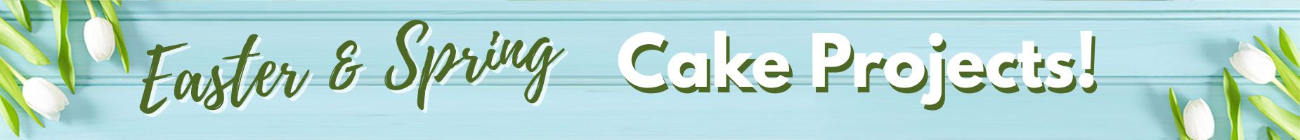 Easter & Spring Cakes!