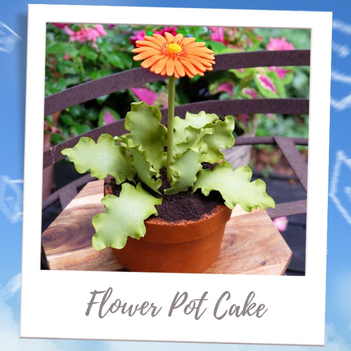 Flower Pot Cake