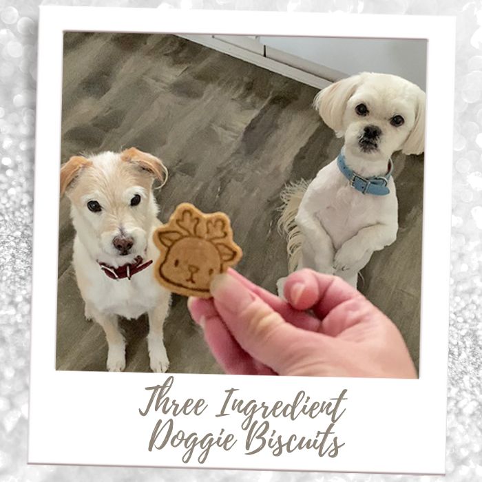 Make Doggie Biscuits