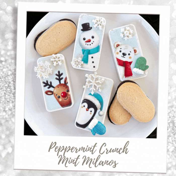 Chocolate Covered Christmas Cookies