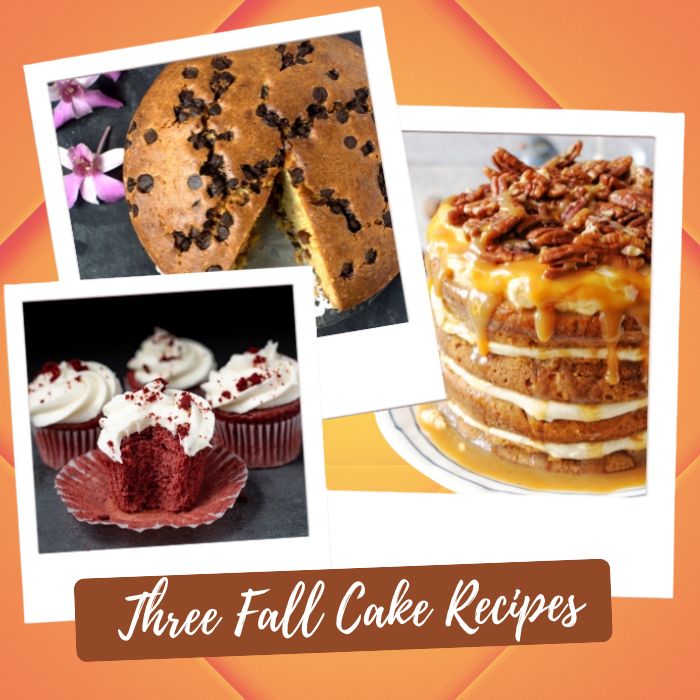 Shop By Holiday-Season - Halloween- 3 Fall Cakes