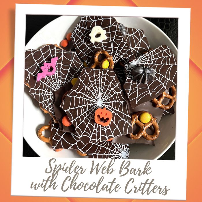 Spider Web Bark