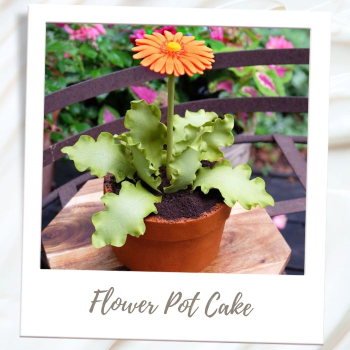 Shop By Treat Type - Cakes - Flower Pot Cake