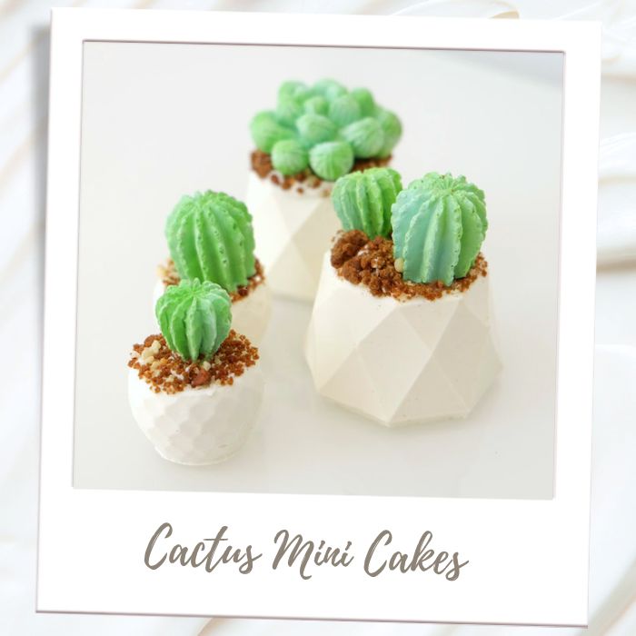 Shop By Treat Type - Cakes - Mini Potted Cactus Cakes