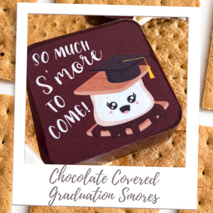 Shop By Treat Type - S'mores - Chocolate Covered Grad S'mores