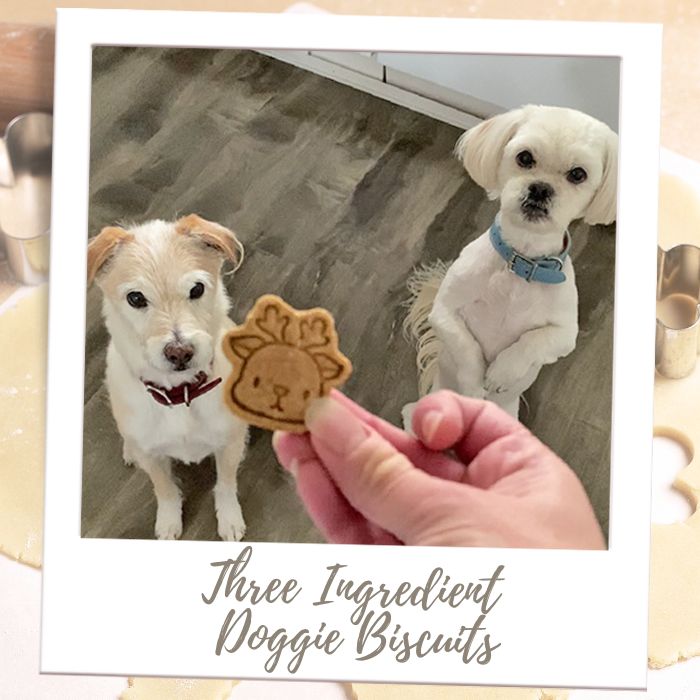 Shop by Treat - All Cookies - Holiday Doggie Treats