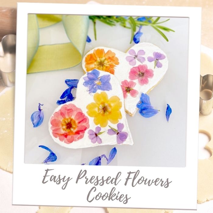 Shop by Treat - All Cookies - Pressed Flower Cookies