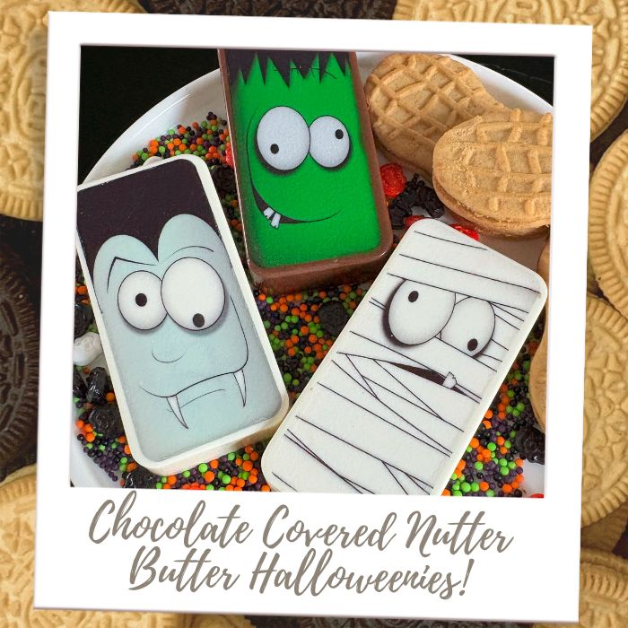 Shop by Treat - Chocolate Covered Cookies - Halloween Nutter Butters