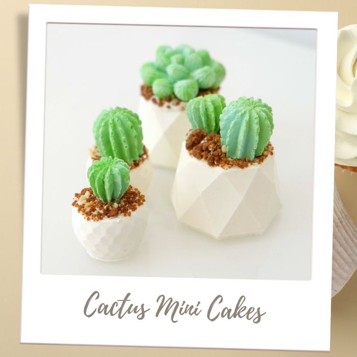 Shop by Treat Type - Cupcakes - Cactus Mini Cakes