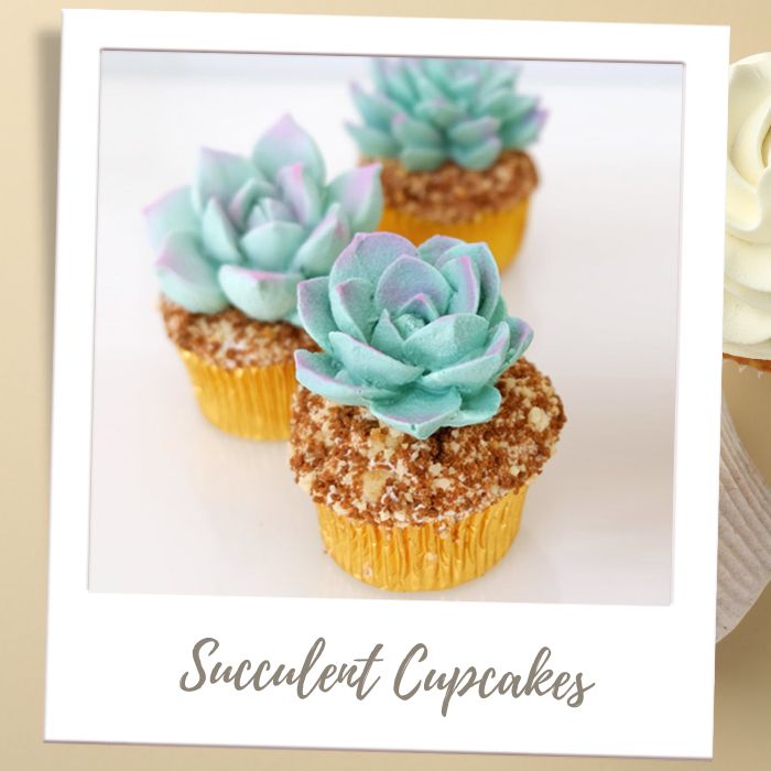 Shop by Treat Type - Cupcakes - Succulent Cupcakes