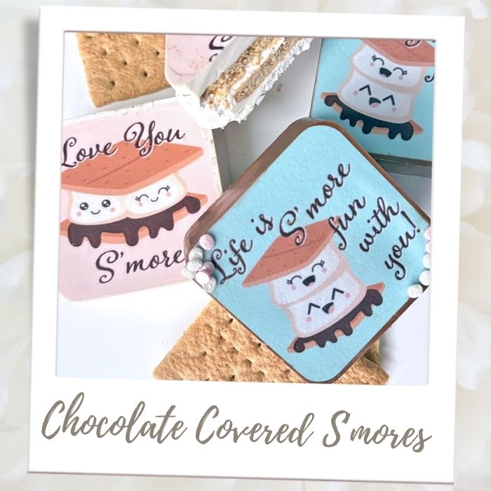 Chocolate Covered S'mores