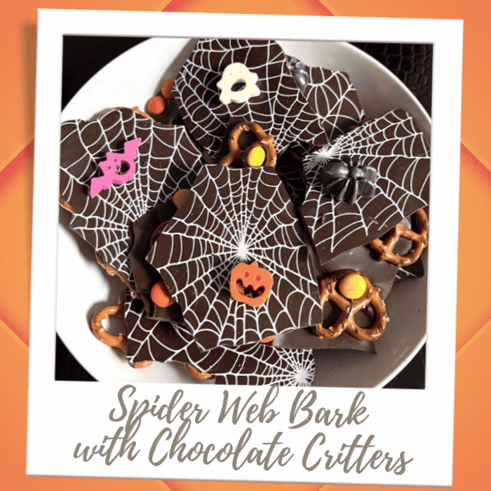 Spider Web Bark