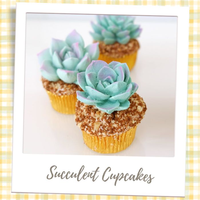 Succulent Cupcakes Baby Shower Gender Reveal