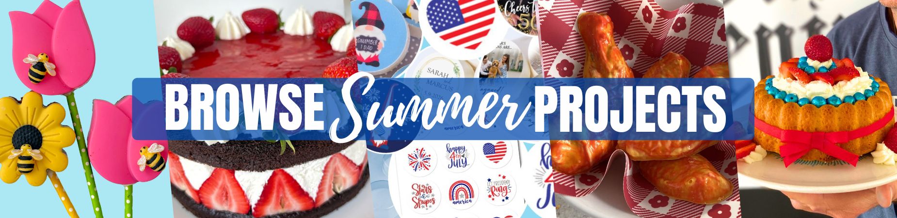 Browse Summer Projects